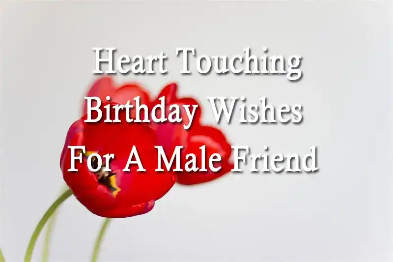 Heart Touching Birthday Wishes For A Male Friend