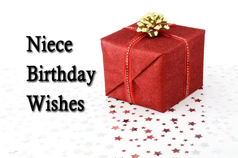 Niece Birthday Wishes
