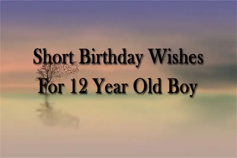 Short Birthday Wishes For 12 Year Old Boy