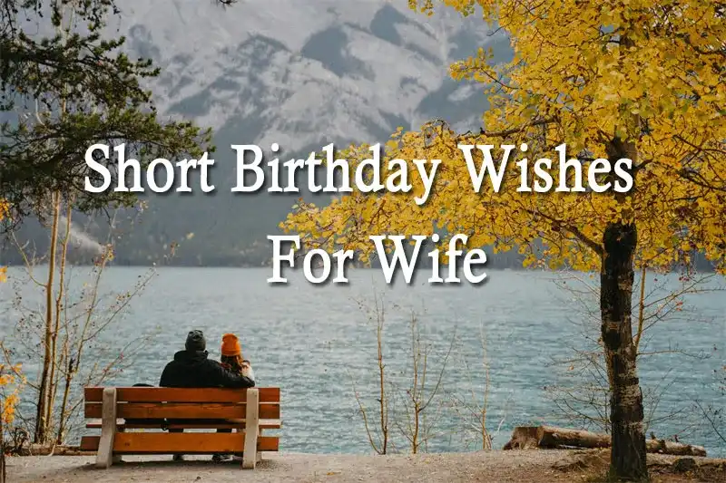 Short Birthday Wishes For Wife