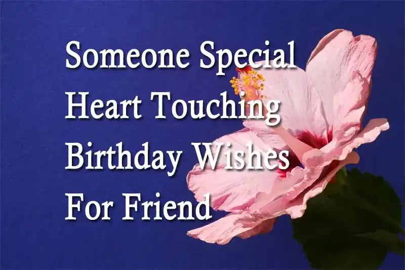 Someone Special Heart Touching Birthday Wishes For Friend