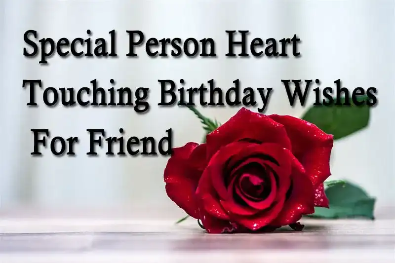 Special Person Heart Touching Birthday Wishes For Friend