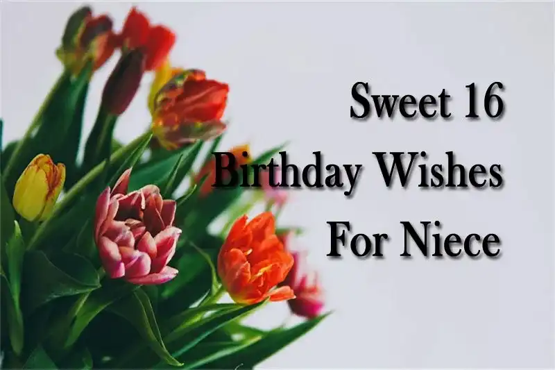 Sweet 16 Birthday Wishes For Niece