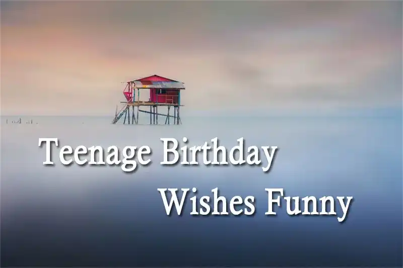 Teenage Birthday Wishes Funny
