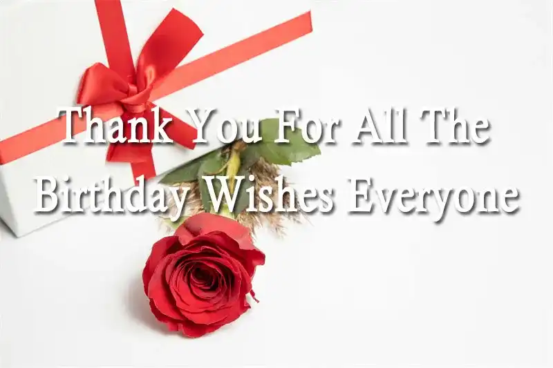 Thank You For All The Birthday Wishes Everyone
