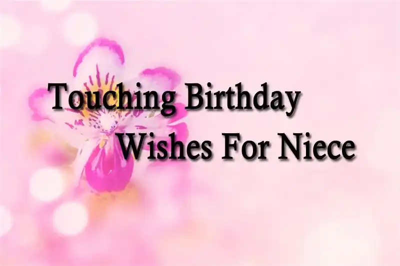 Touching Birthday Wishes For Niece